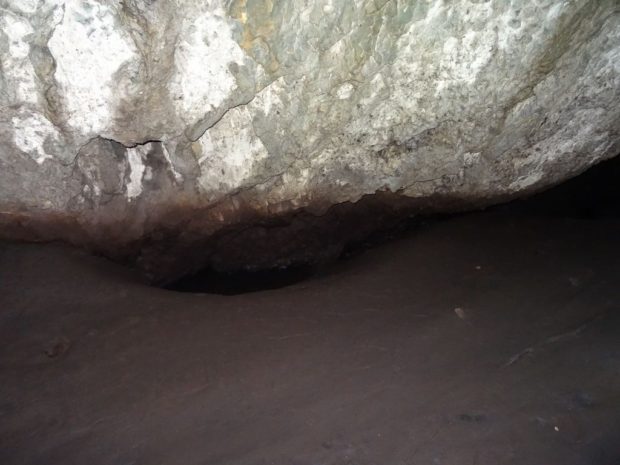 Čiščenje Male Stankove jame in jame Müllerloch oz. Golobje jame